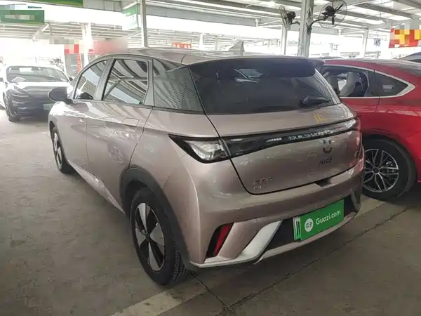 BYD Dolphin 2024