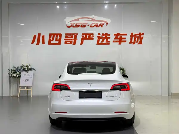 Tesla Model 3 2019