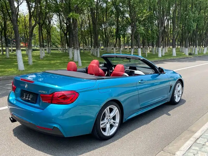 BMW 4 Series 2017 — фото 19