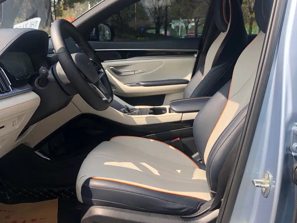 BYD PLUS New Energy 2023 — фото 16