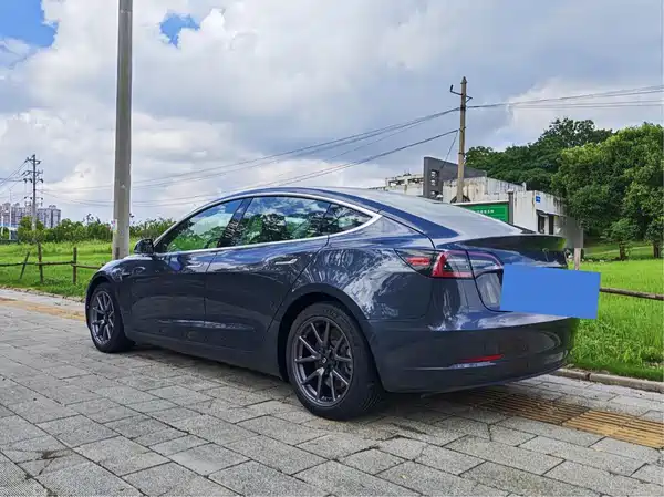 Tesla Model 3 2019