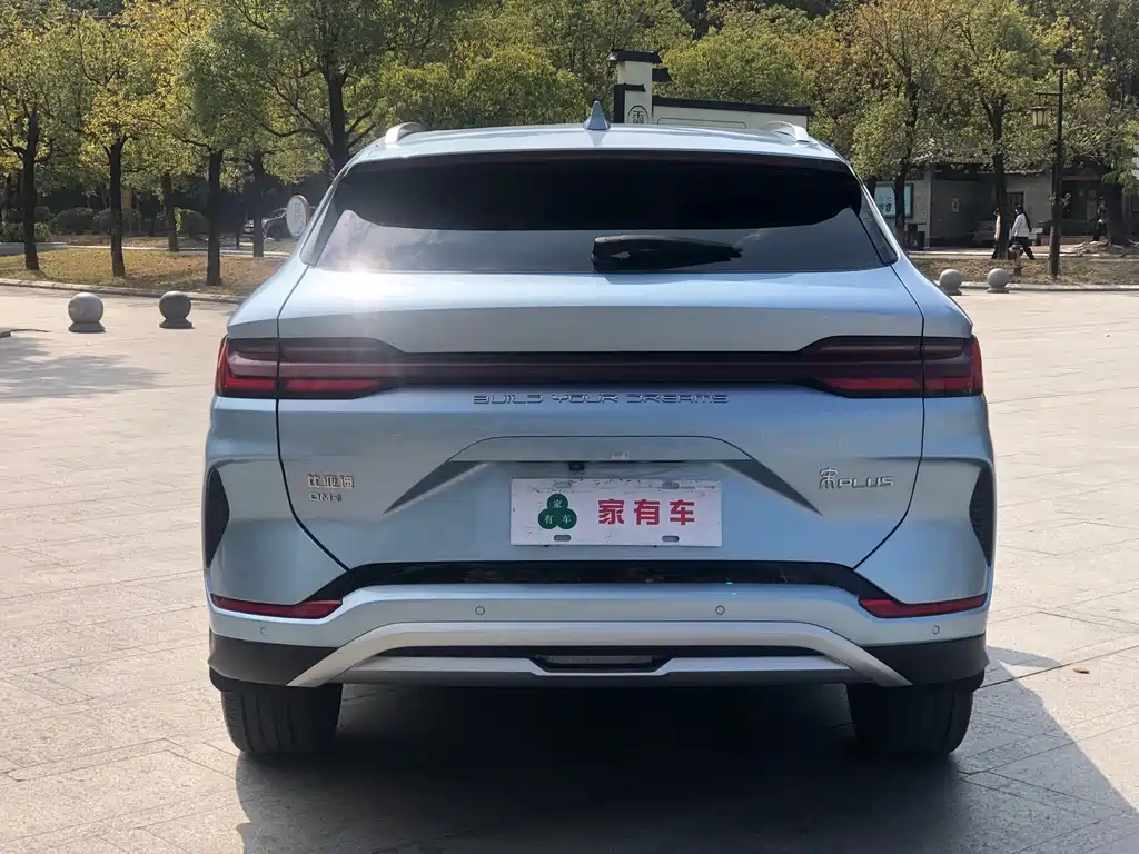 BYD PLUS New Energy 2023 — фото 8