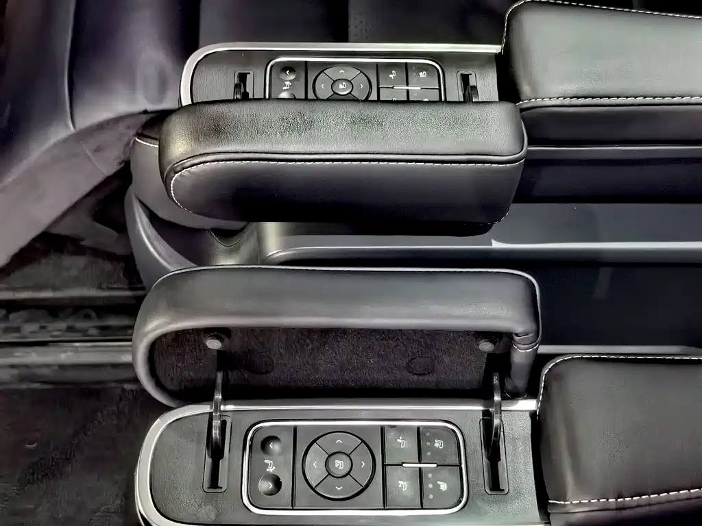 GAC Motor Trumpchi M8 2021 — фото 9