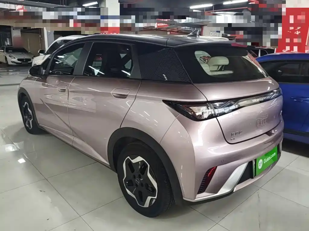 BYD Dolphin 2021