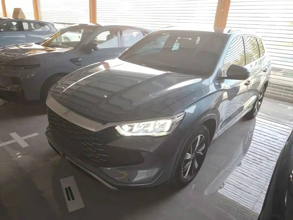 BYD Song Pro New Energy 2024 — фото 1