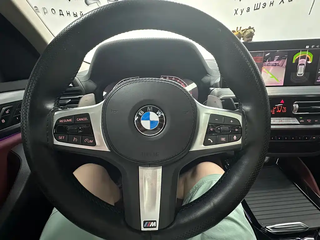 BMW X4 2022 — фото 17