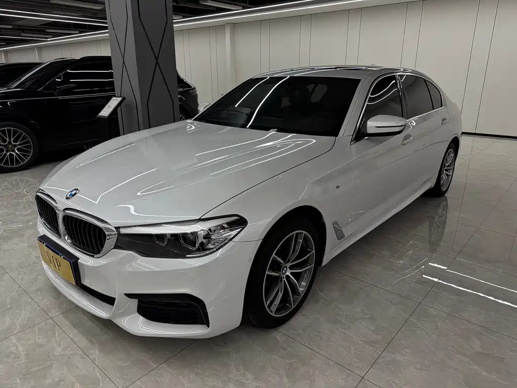 BMW 5 Series 2019 — фото 1