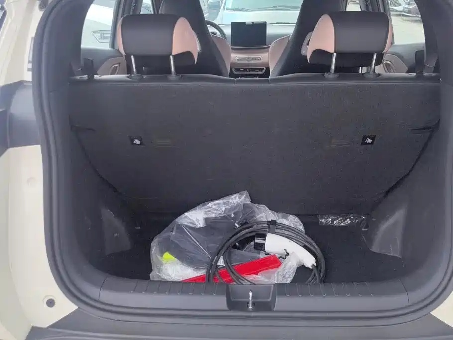 BYD Seagull 2025