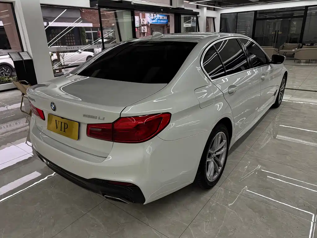 BMW 5 Series 2019 — фото 16