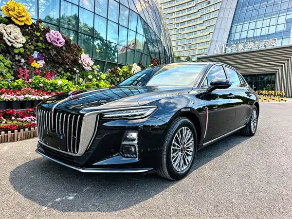 Hongqi H5 2024