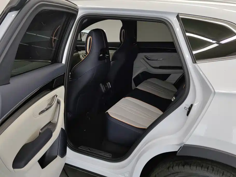 BYD Song PLUS New Energy 2024 — фото 11