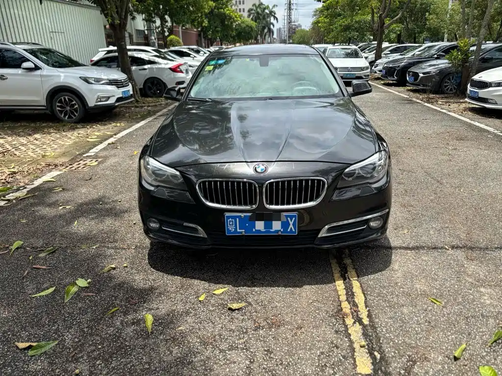 BMW 5 Series 2015