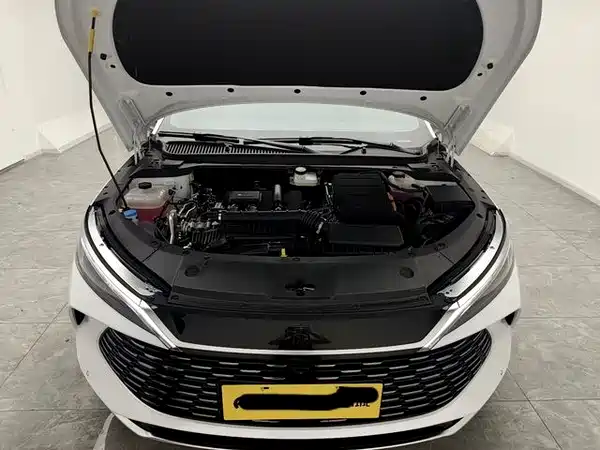 BYD Qin L 2024