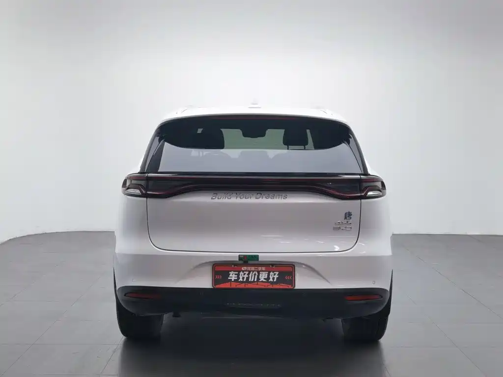 BYD Tang New Energy 2019 — фото 4