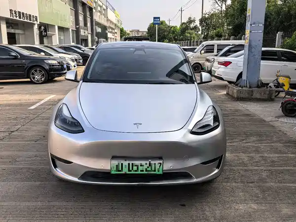 Tesla Model Y 2021