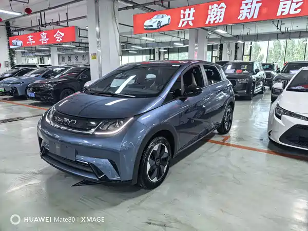 BYD Dolphin 2025