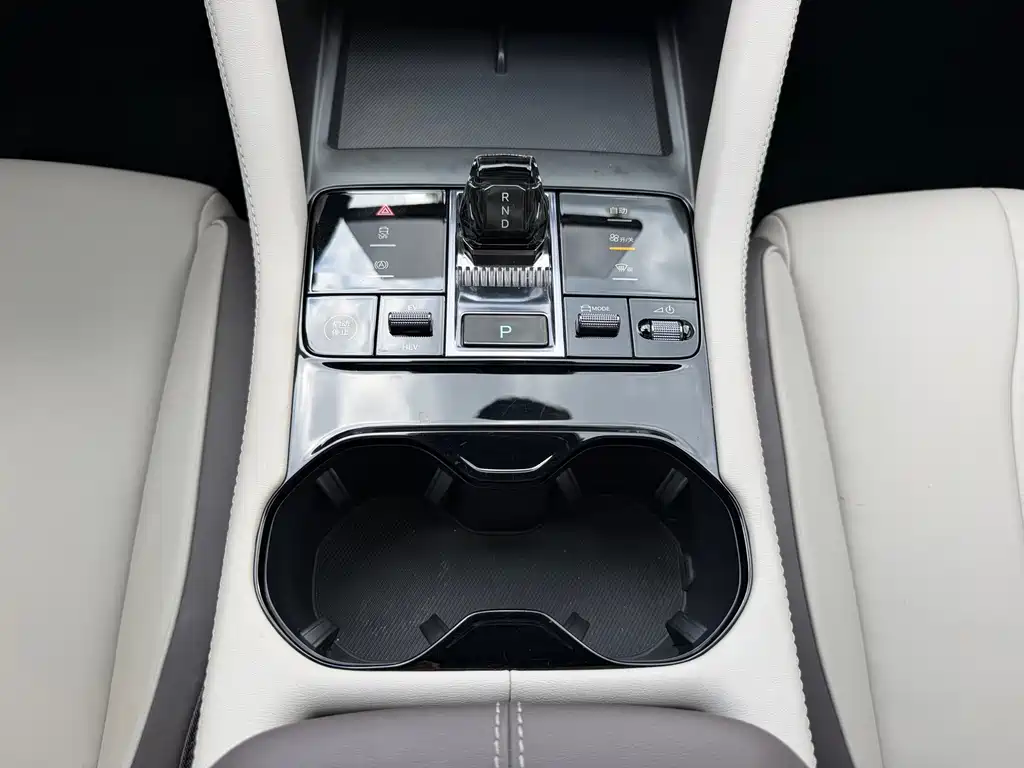 BYD Song PLUS New Energy 2024 — фото 12