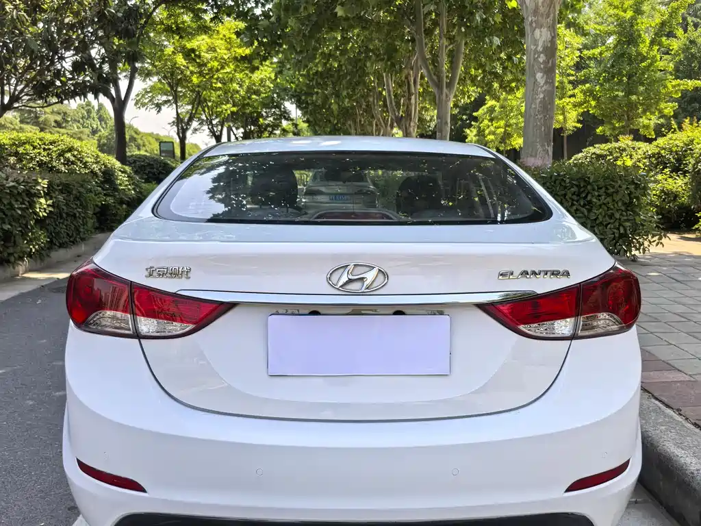 Hyundai Elantra Langdong 2015 — фото 9