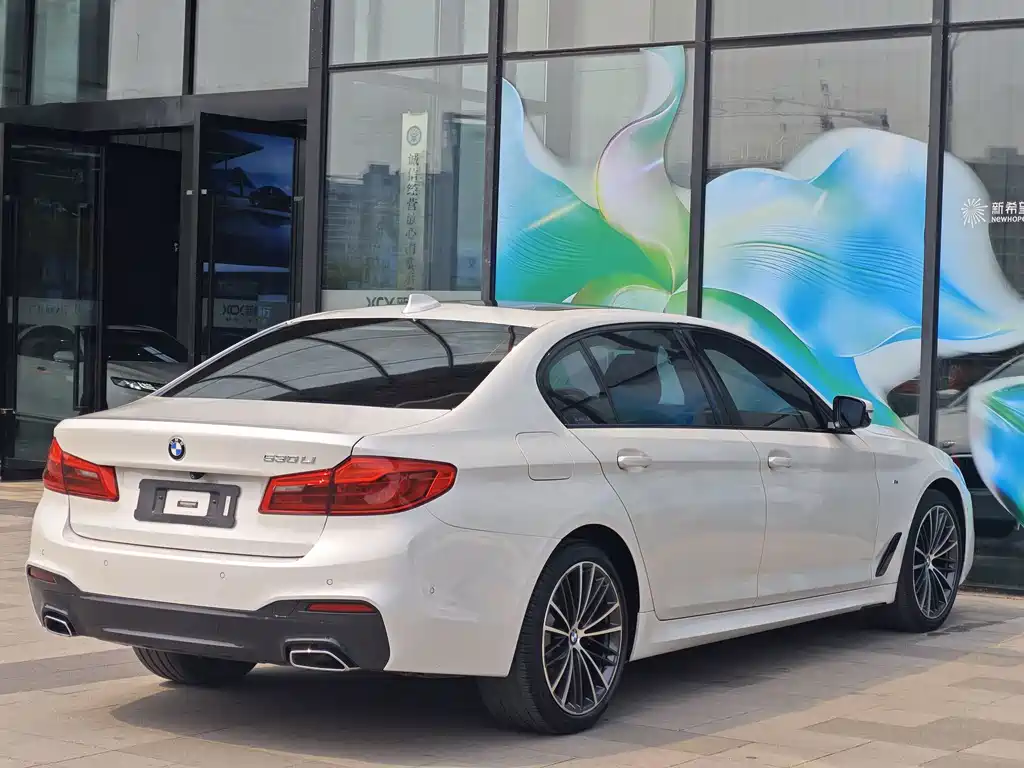 BMW 5 Series 2019 — фото 11