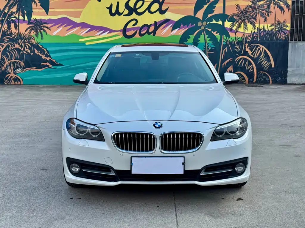 BMW 5 Series 2014 — фото 2