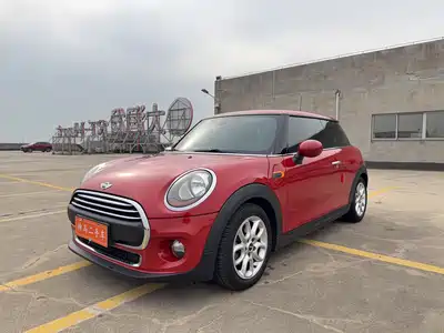 MINI MINI 2014