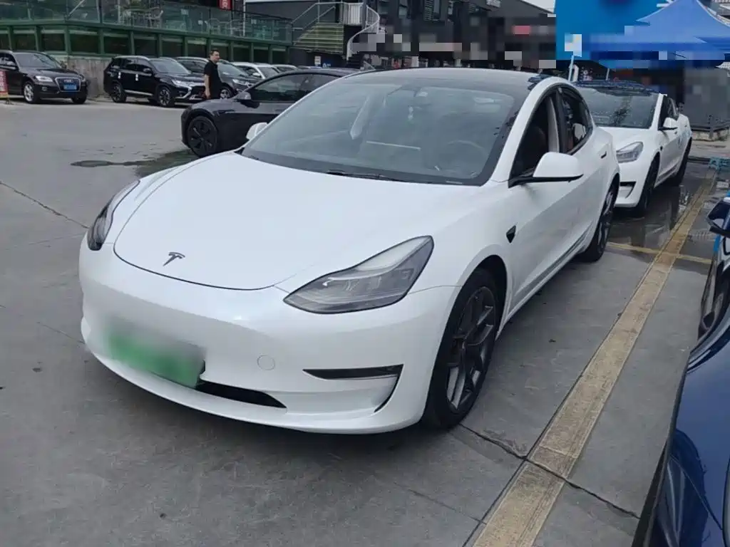 Tesla Model 3 2021