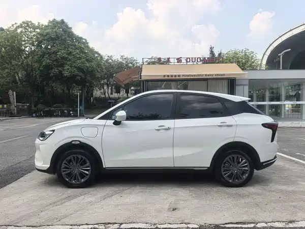 Neta V 2023