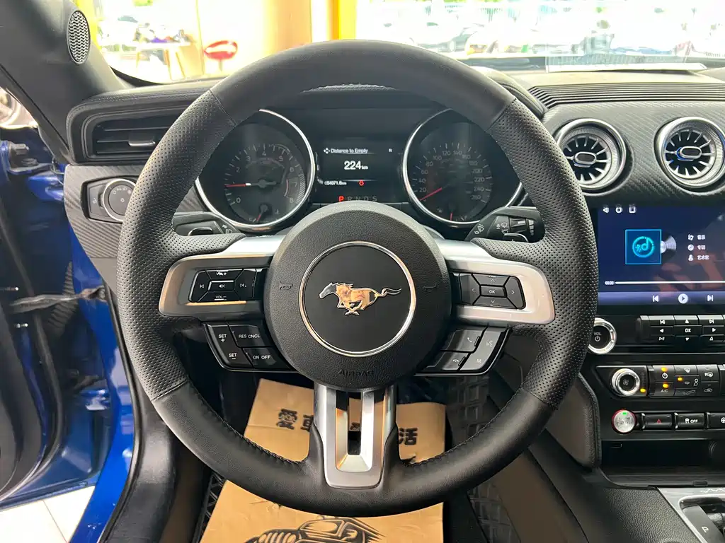 Ford Mustang 2019 — фото 14