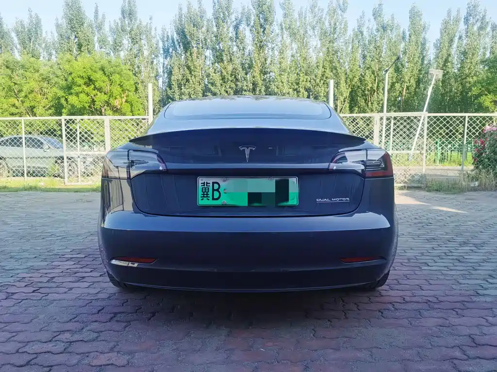 Tesla Model 3 2019
