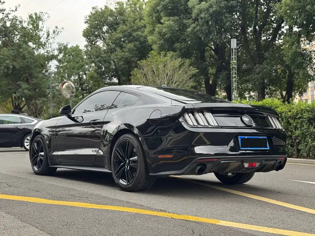Ford Mustang 2017 — фото 10