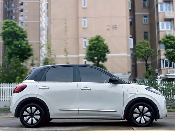 Wuling Bingo 2024