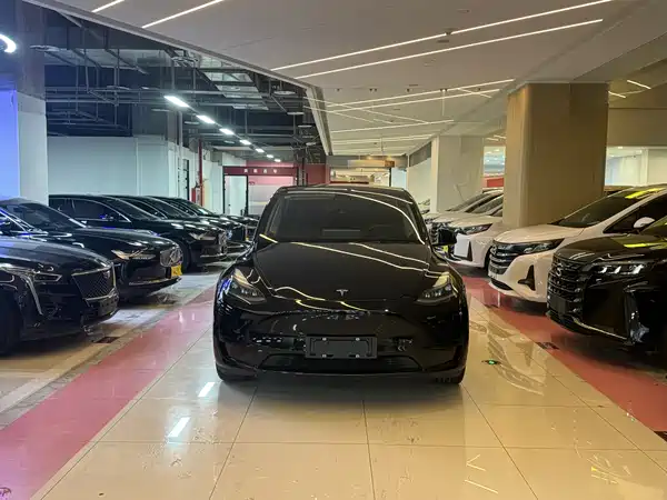 Tesla Model Y 2021