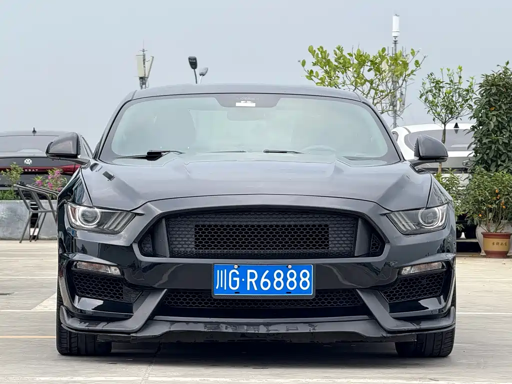 Ford Mustang 2016 — фото 2