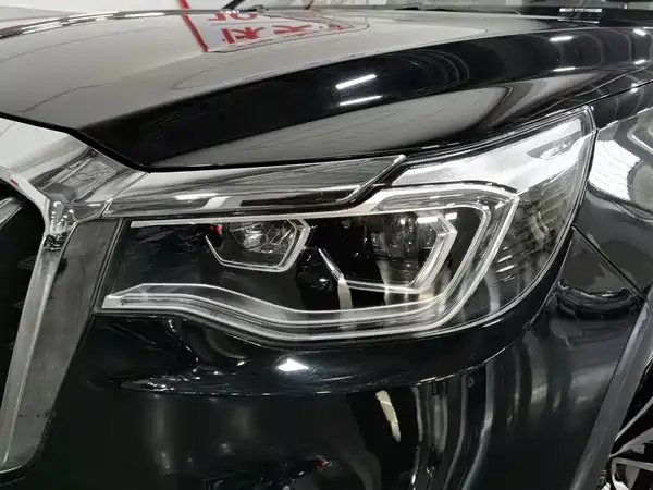 Hongqi HS7 2019
