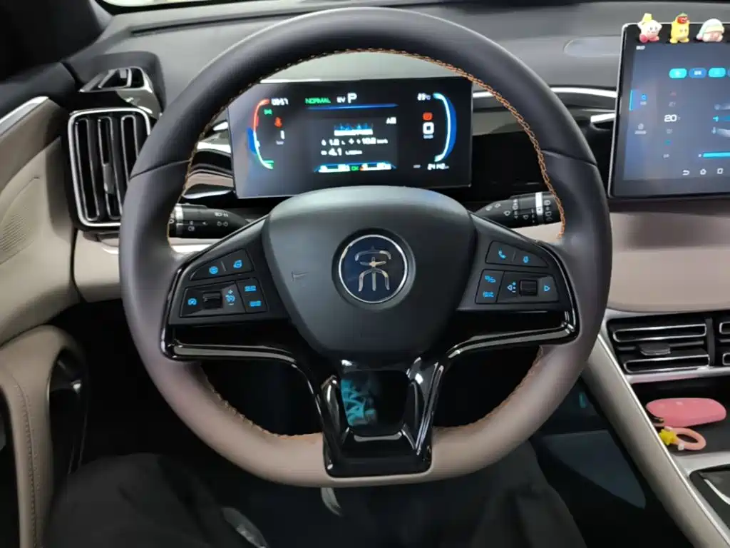 BYD Pro New Energy 2024 — фото 11