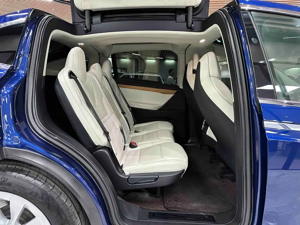 Tesla Model X 2019 — фото 14