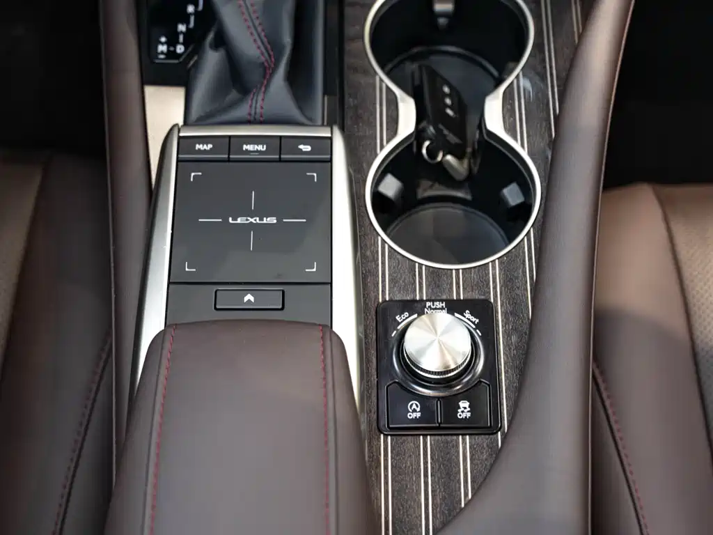 Lexus RX 2020 — фото 18