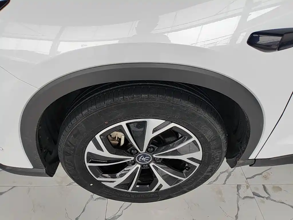 BYD Song Pro New Energy 2025 — фото 23
