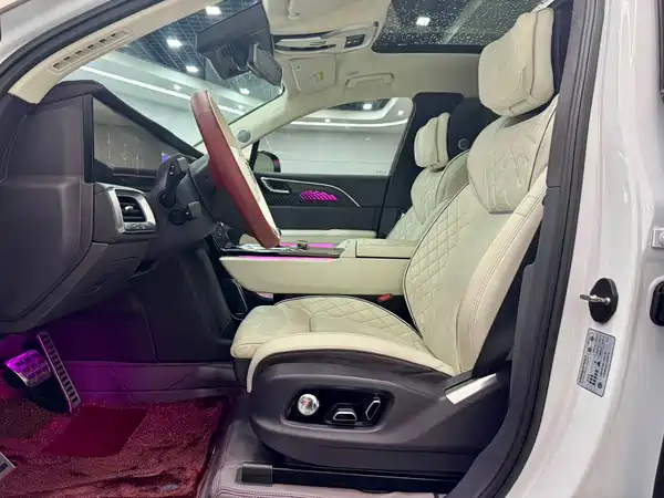 Hongqi E-HS9 2021