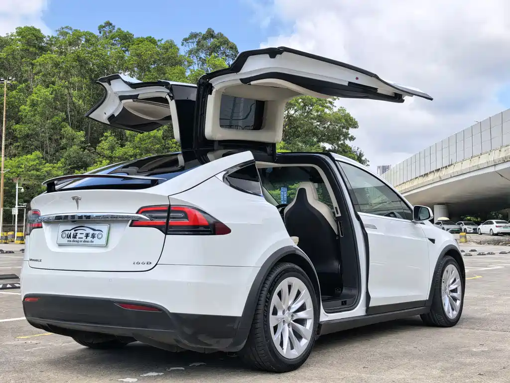 Tesla Model X 2018 — фото 10