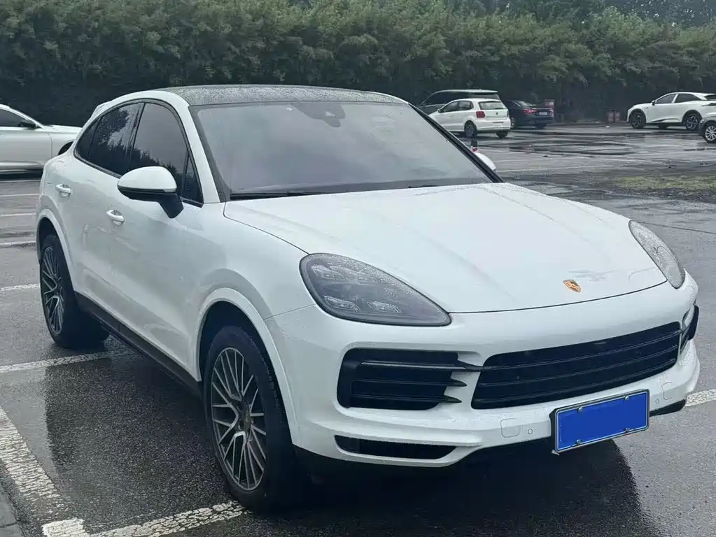 Porsche Cayenne 2021 — фото 9
