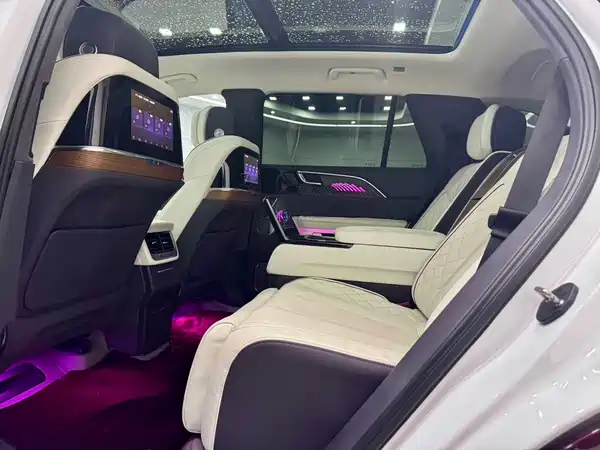 Hongqi E-HS9 2021