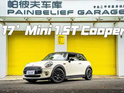MINI MINI 2017