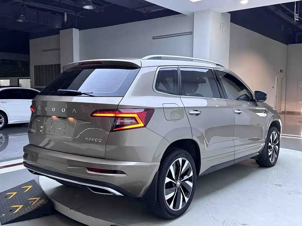 Skoda Karoq 2022 — фото 6