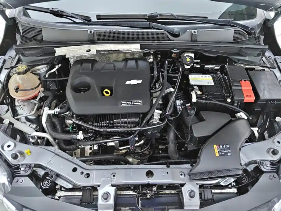 Chevrolet Cavalier 2020 — фото 10