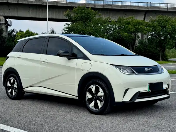 BYD Dolphin 2024