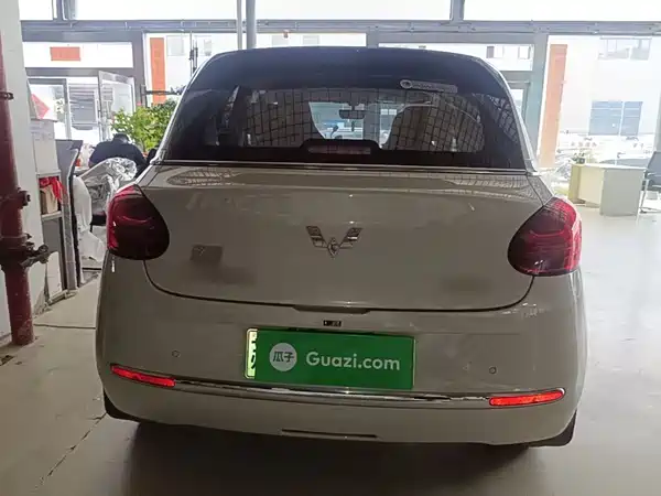Wuling Bingo 2024