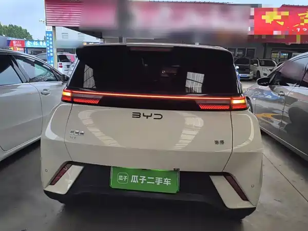 BYD Seagull 2024