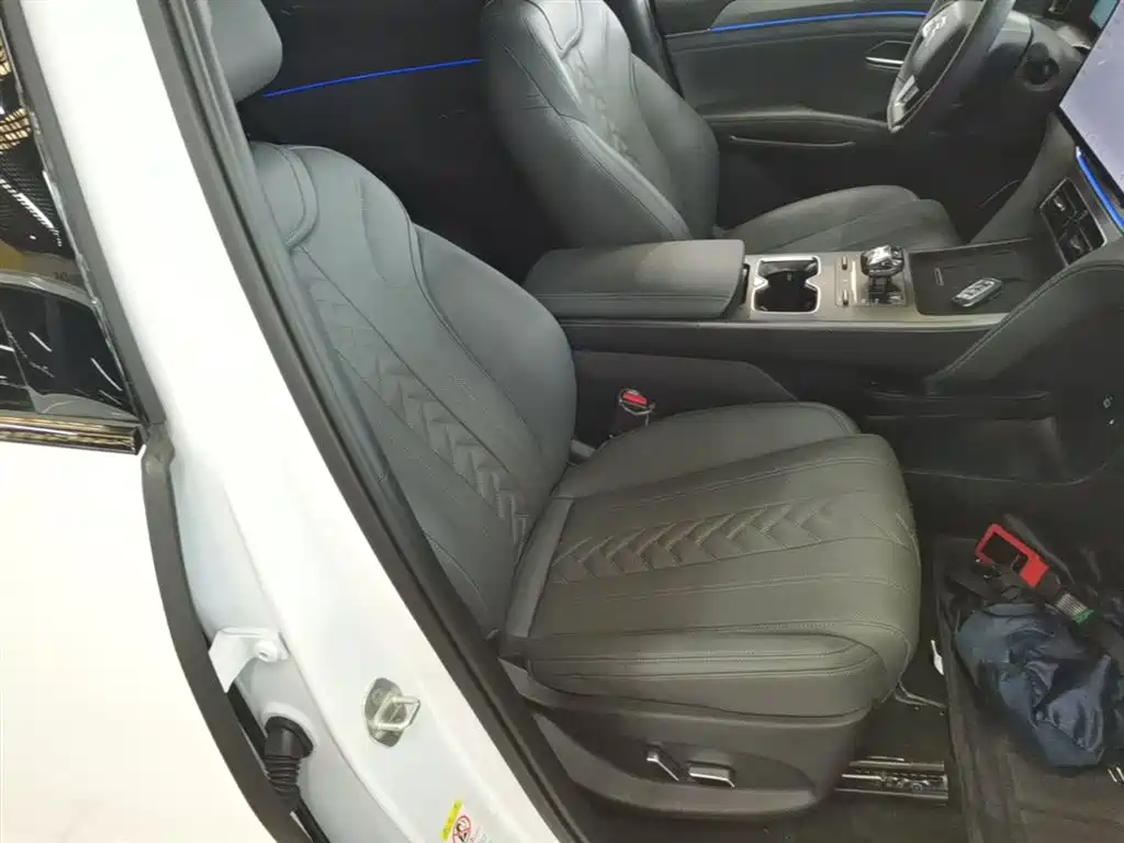 BYD L DM-i 2025 — фото 25