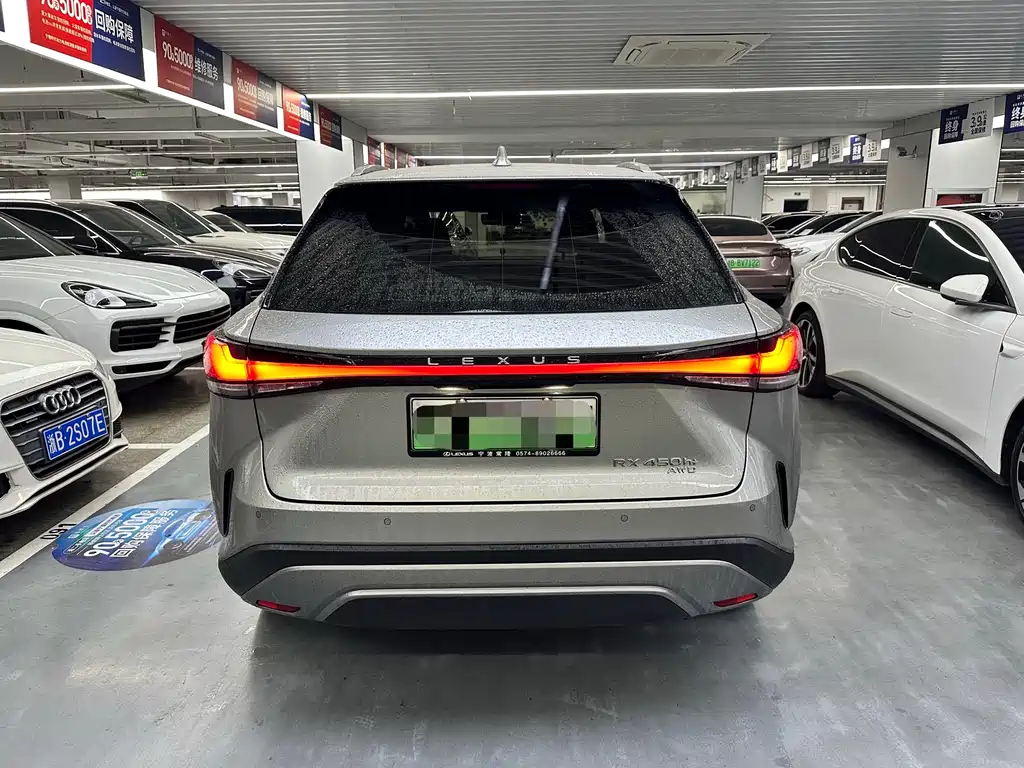Lexus RX New Energy 2023 — фото 9